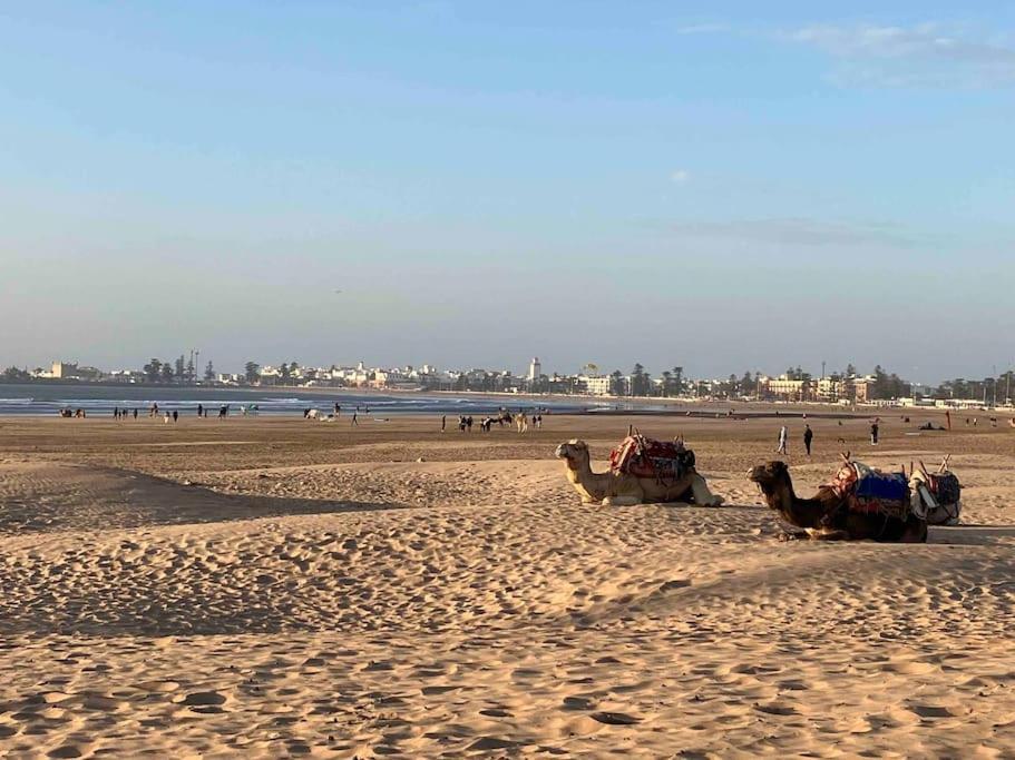 Dar Aya Essaouira Apartment ภายนอก รูปภาพ