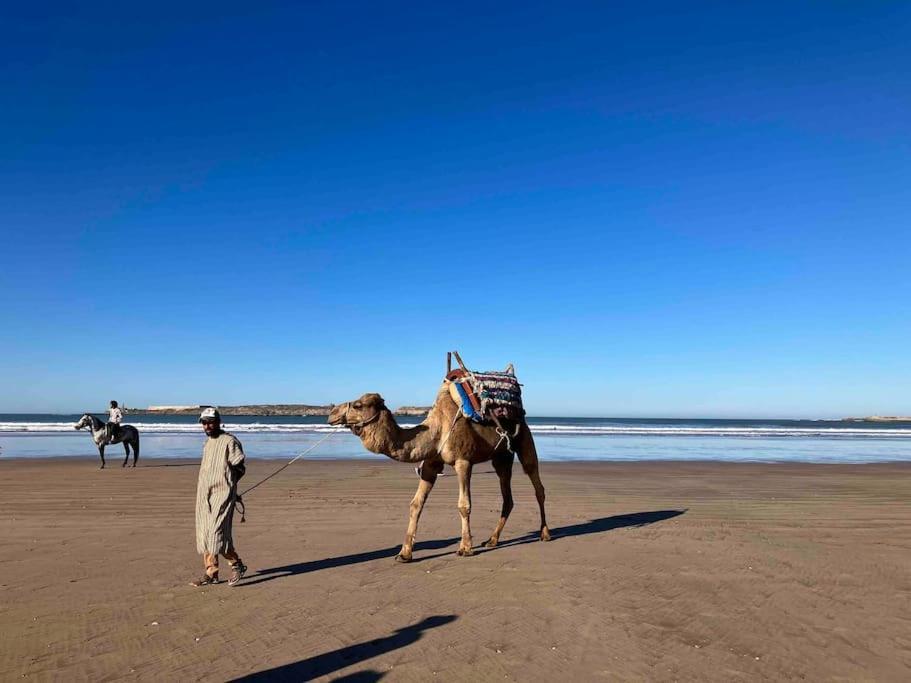 Dar Aya Essaouira Apartment ภายนอก รูปภาพ
